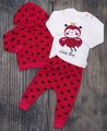 komplet-wyprawka-body-spodnie-bluza-biedronka-2.jpg